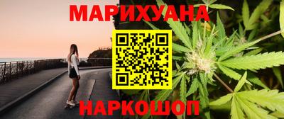 индика Моздок