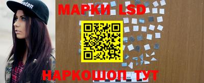 индика Моздок
