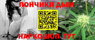 индика Моздок