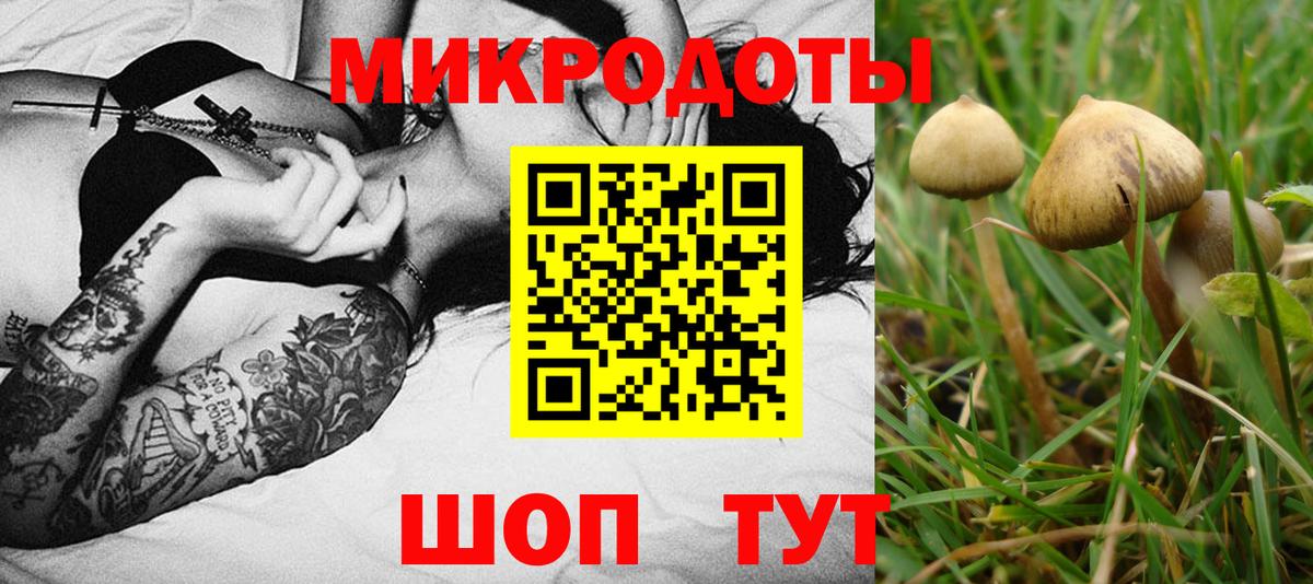 Псилоцибиновые грибы мухоморы Тара
